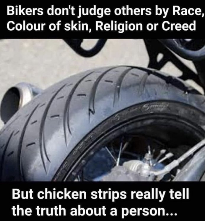 5C0D4FC4-9505-4A7B-8124-8C053087CCC6.thumb.jpg.12cb7377090e20c95c150f4e87613d4d.jpg